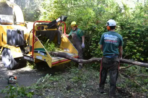 tree services Jefferson